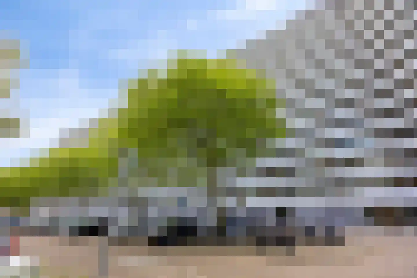 Chopinplein 192 Schiedam thumbnail 7