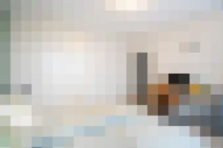 Chopinplein 207 Culemborg thumbnail 16