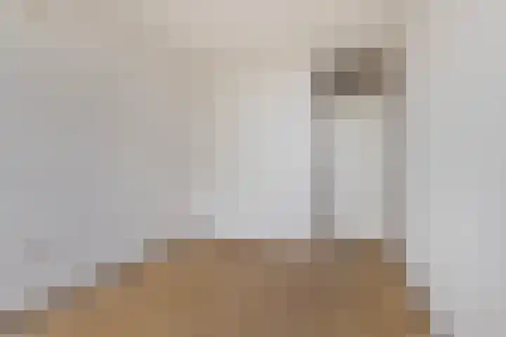 Chopinplein 223 Schiedam thumbnail 16