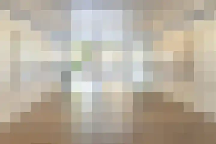 Chopinplein 223 Schiedam thumbnail 18