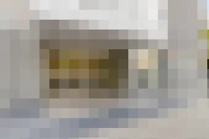 Chopinplein 223 Schiedam thumbnail 19