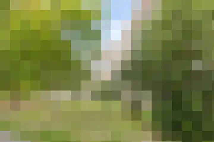 Chopinplein 223 Schiedam thumbnail 21