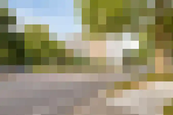 Chopinplein 223 Schiedam thumbnail 22