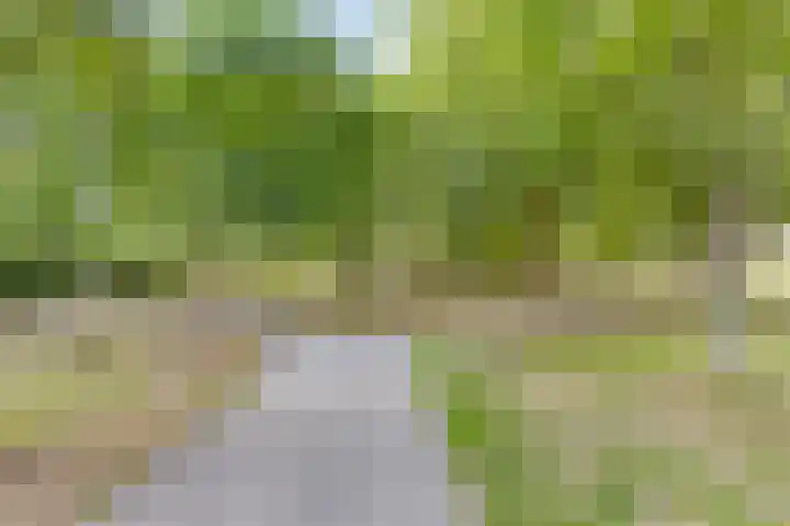 Chopinplein 223 Schiedam thumbnail 23