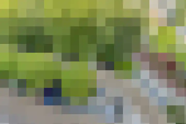 Chopinplein 223 Schiedam thumbnail 25