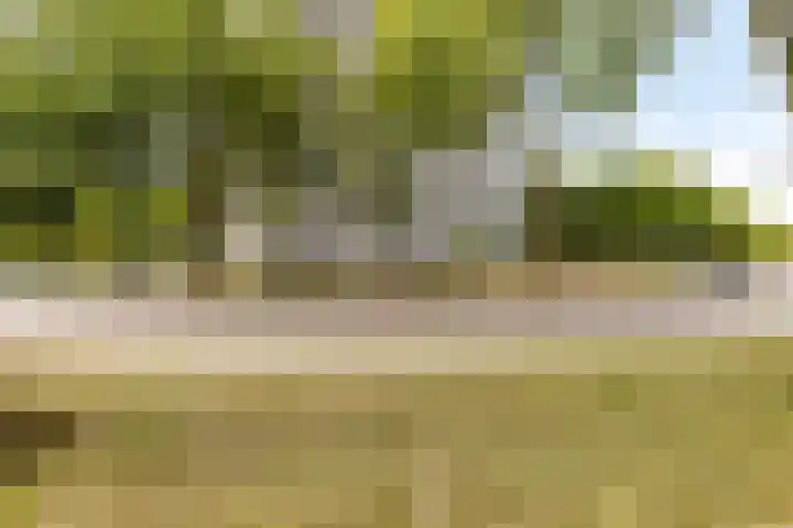 Chopinplein 223 Schiedam thumbnail 26