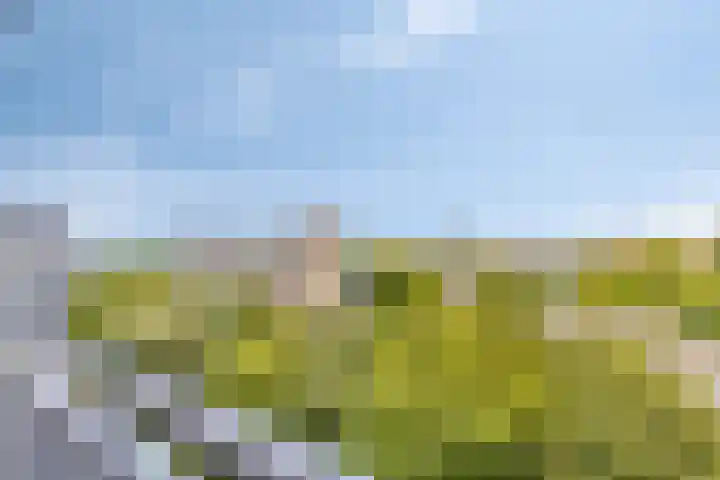 Chopinplein 223 Schiedam thumbnail 6