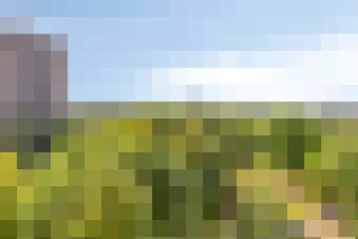 Chopinplein 223 Schiedam thumbnail 8