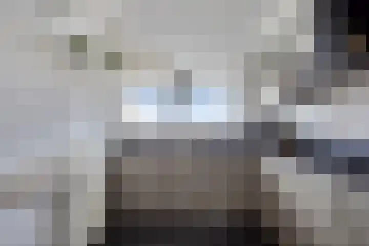 Chopinplein 228 Schiedam thumbnail 18