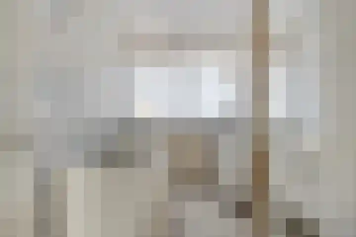 Chopinplein 228 Schiedam thumbnail 25