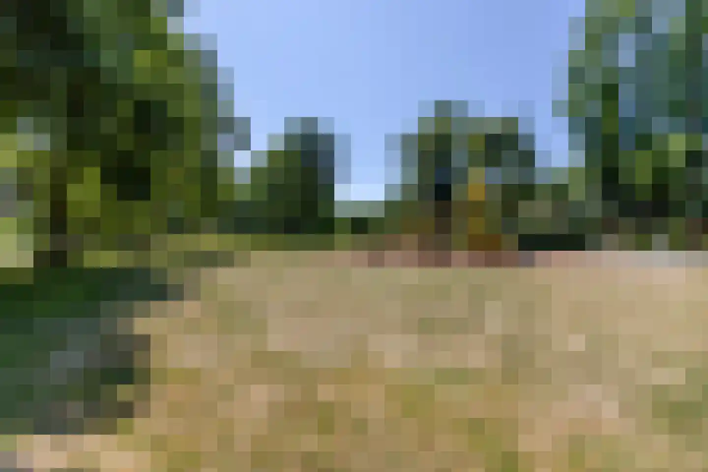 Chopinplein 232 Schiedam thumbnail 6