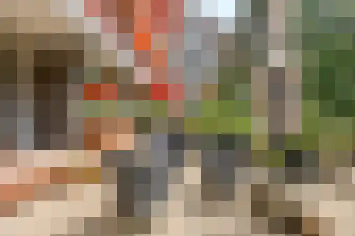 Chopinplein 37 Schiedam thumbnail 21