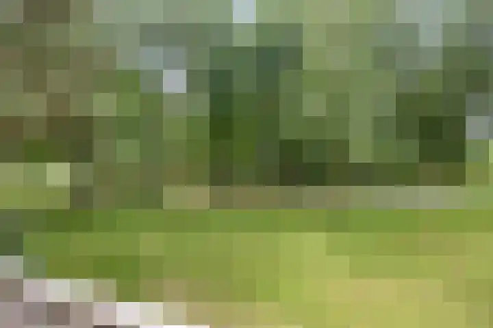Chopinplein 37 Schiedam thumbnail 23