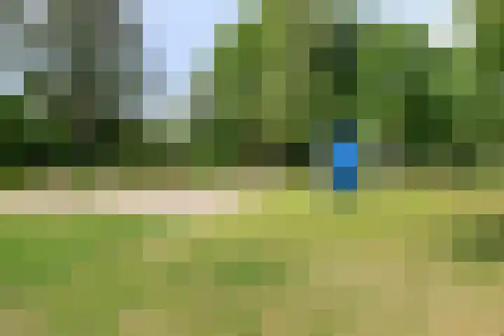 Chopinplein 37 Schiedam thumbnail 25
