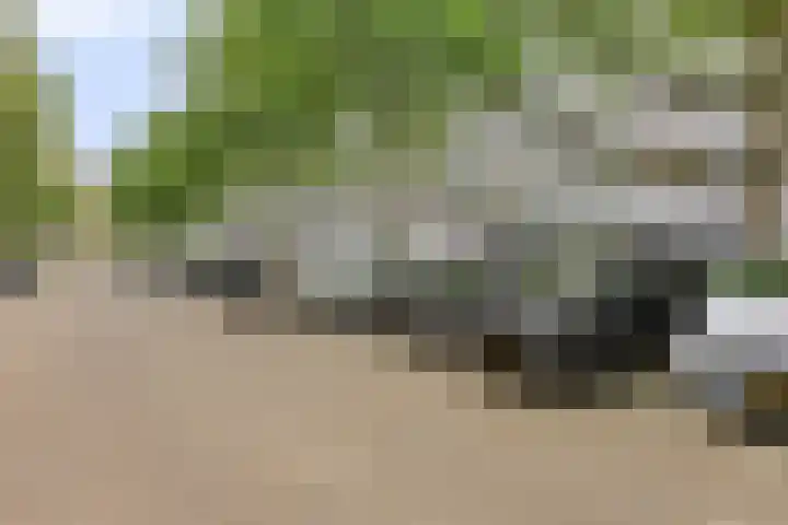 Chopinplein 37 Schiedam thumbnail 27