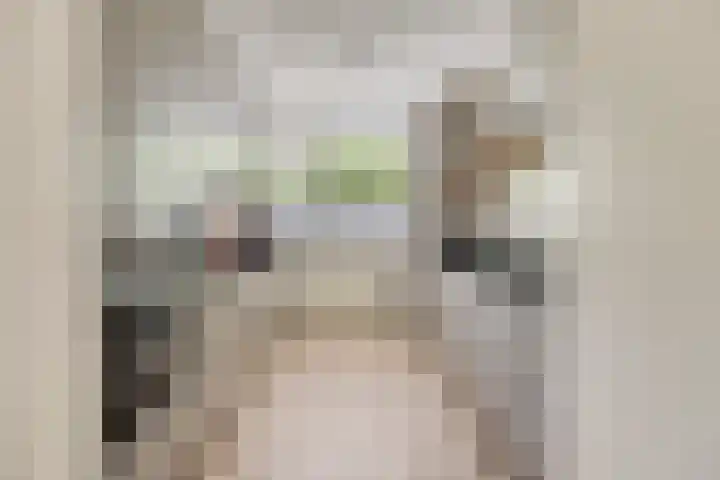 Chopinplein 37 Schiedam thumbnail 6