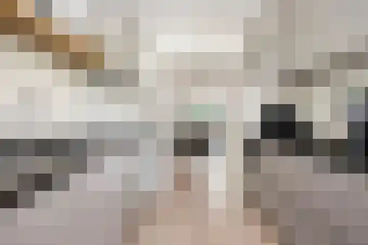 Chopinplein 37 Schiedam thumbnail 7