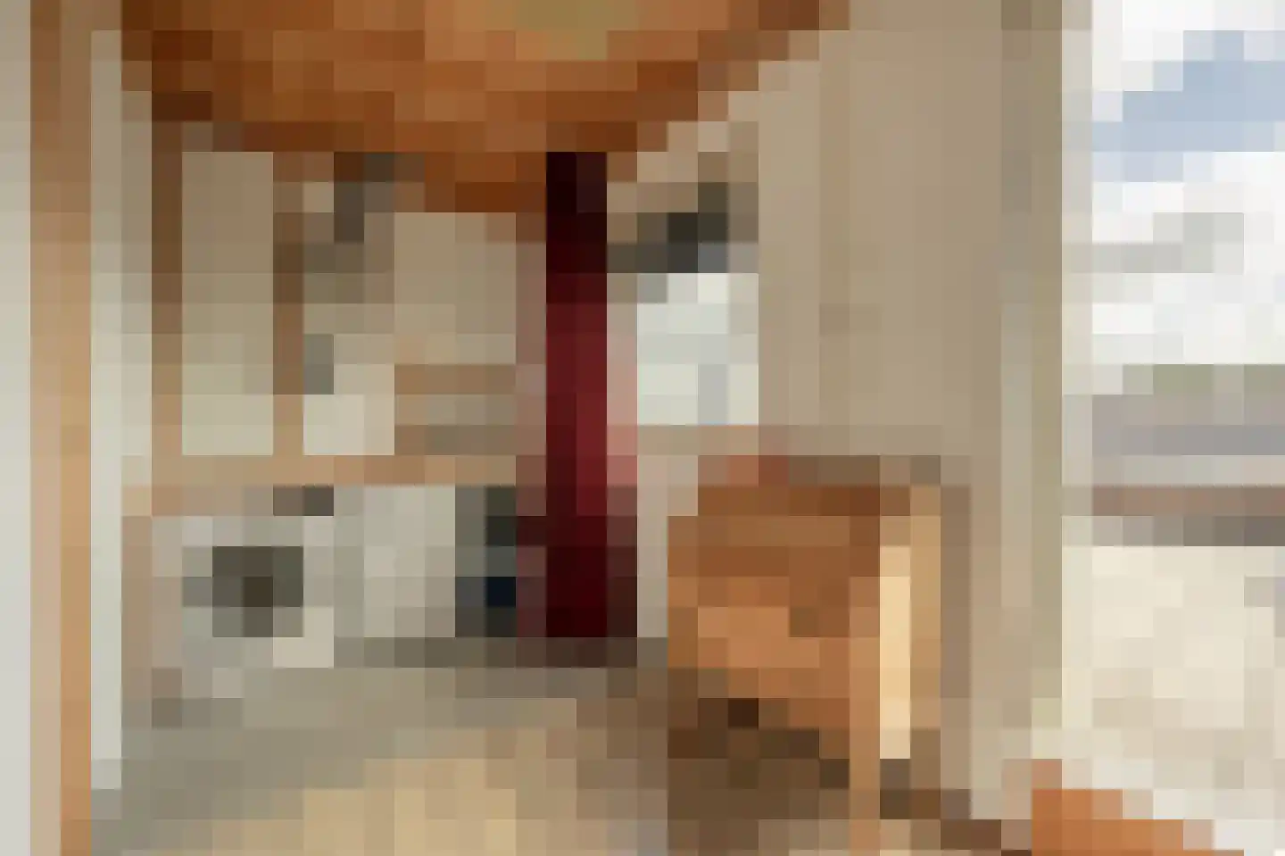 Chopinplein 40 Oud-Beijerland thumbnail 37