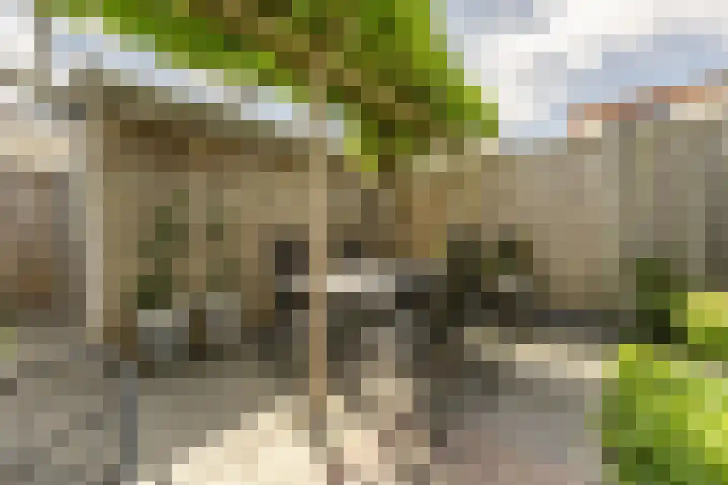 Chopinplein 40 Oud-Beijerland thumbnail 43