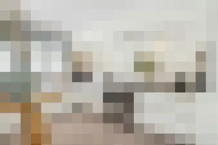 Chopinplein 41 Schiedam thumbnail 11