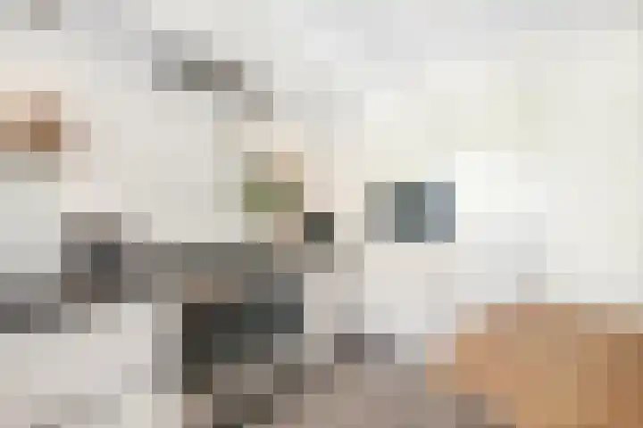 Chopinplein 41 Schiedam thumbnail 12