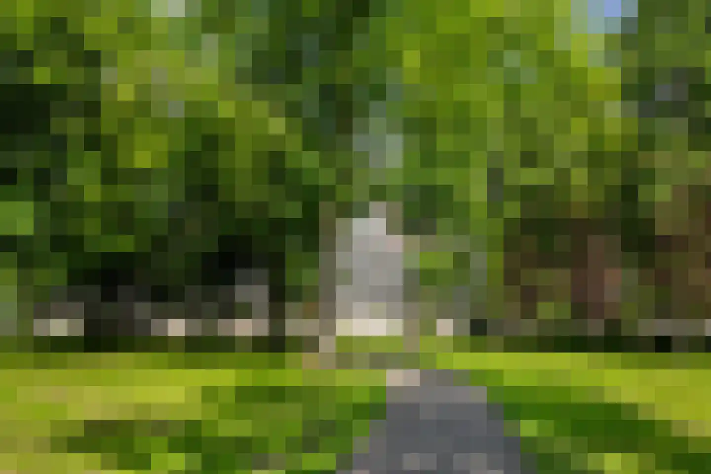 Chopinplein 41 Schiedam thumbnail 30