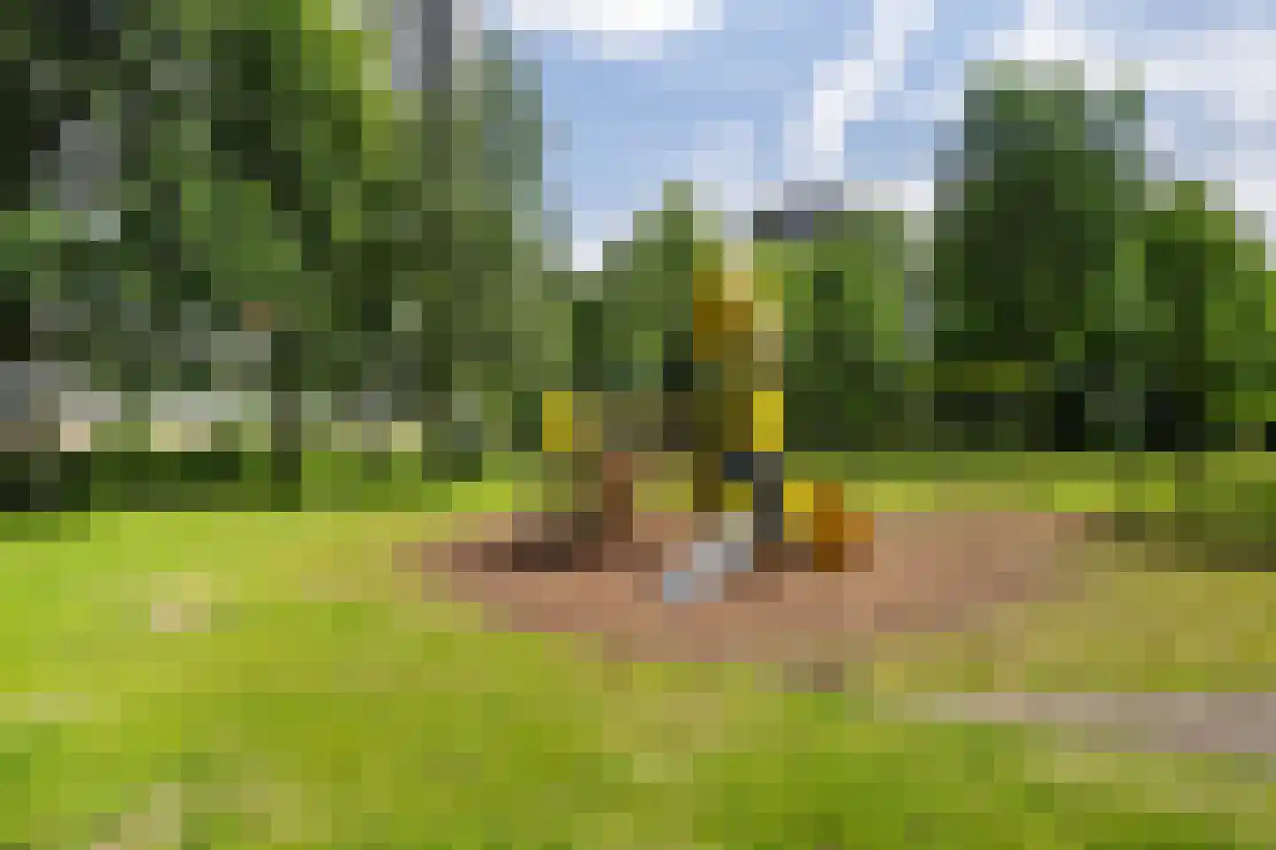 Chopinplein 41 Schiedam thumbnail 31