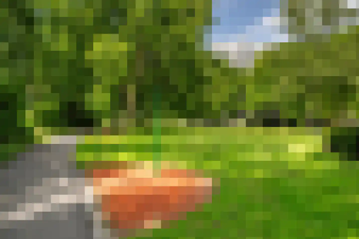 Chopinplein 41 Schiedam thumbnail 32