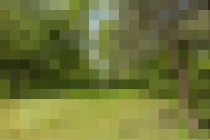 Chopinplein 41 Schiedam thumbnail 38