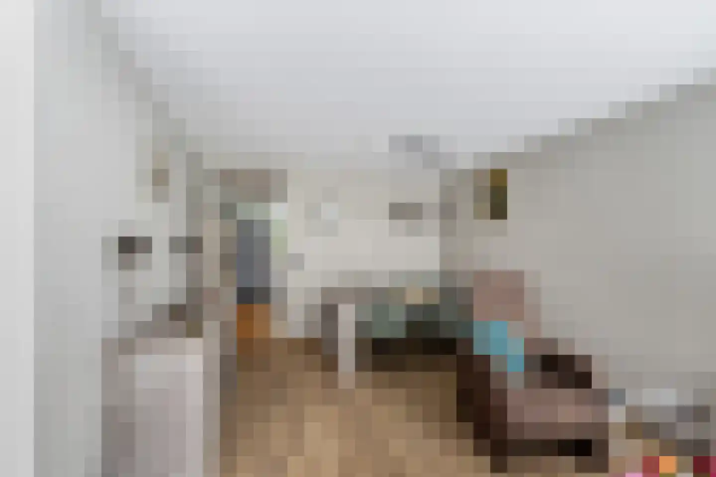 Chopinplein 41 Schiedam thumbnail 9