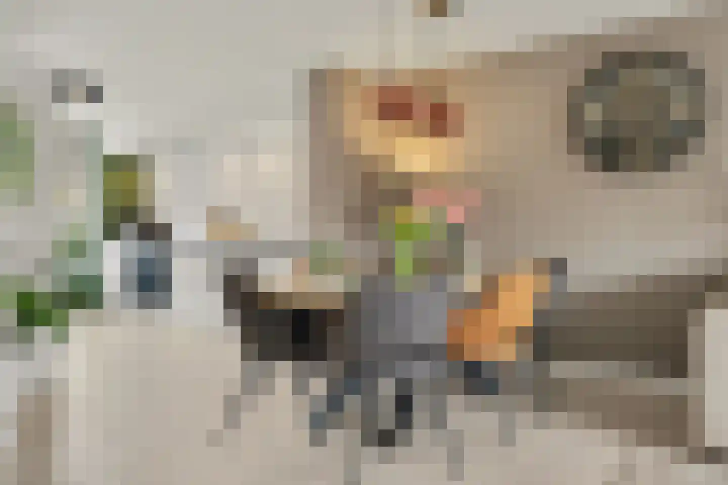 Chopinplein 42 Oud-Beijerland thumbnail 16