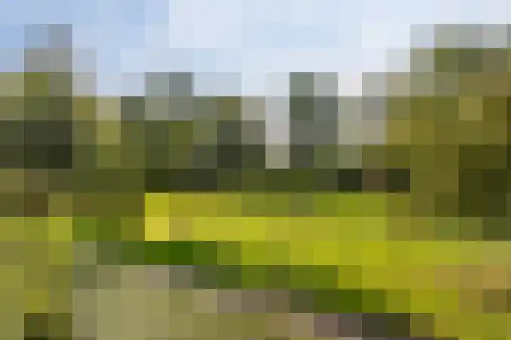 Chopinplein 45 Schiedam thumbnail 11