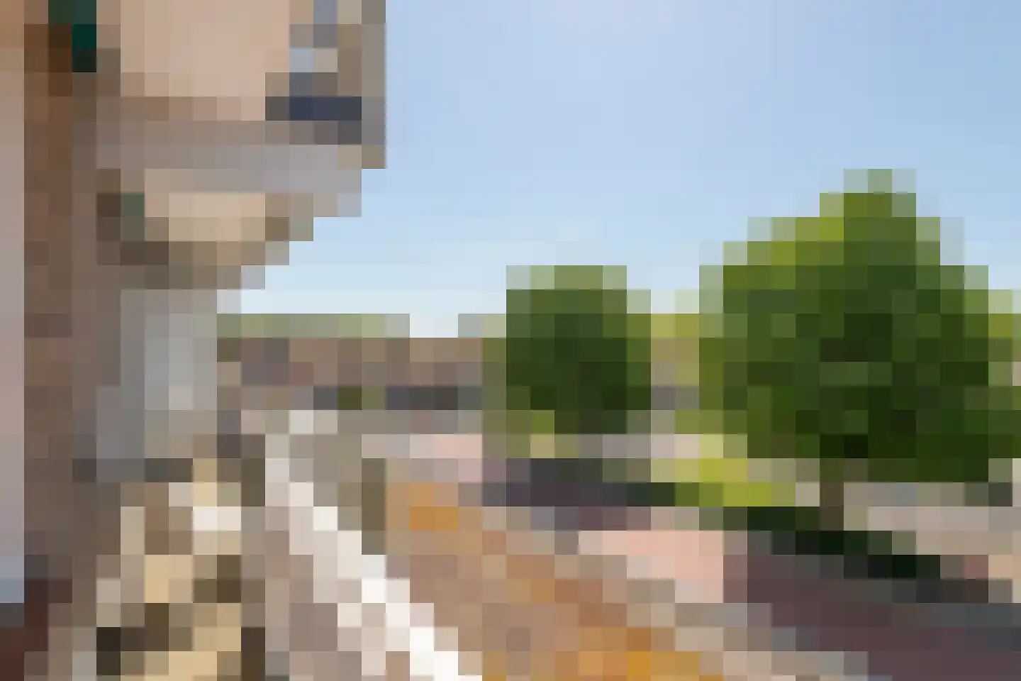 Chopinplein 65 Culemborg thumbnail 32