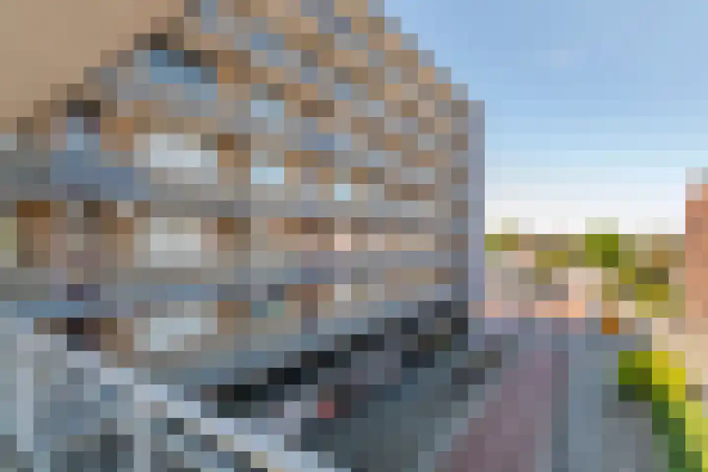 Chopinplein 65 Culemborg thumbnail 38