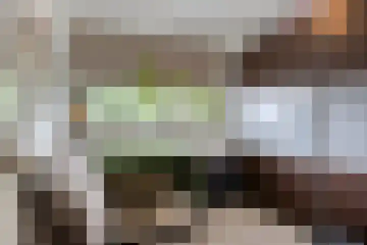 Chopinplein 90 Schiedam thumbnail 12