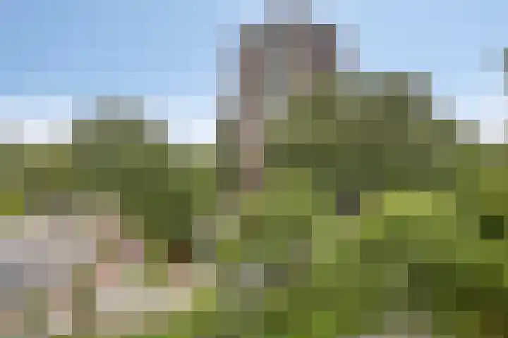 Chopinplein 90 Schiedam thumbnail 14