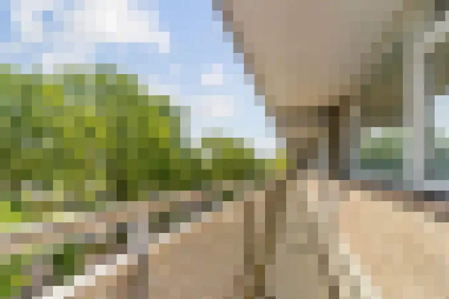 Chopinplein 93 Schiedam thumbnail 30