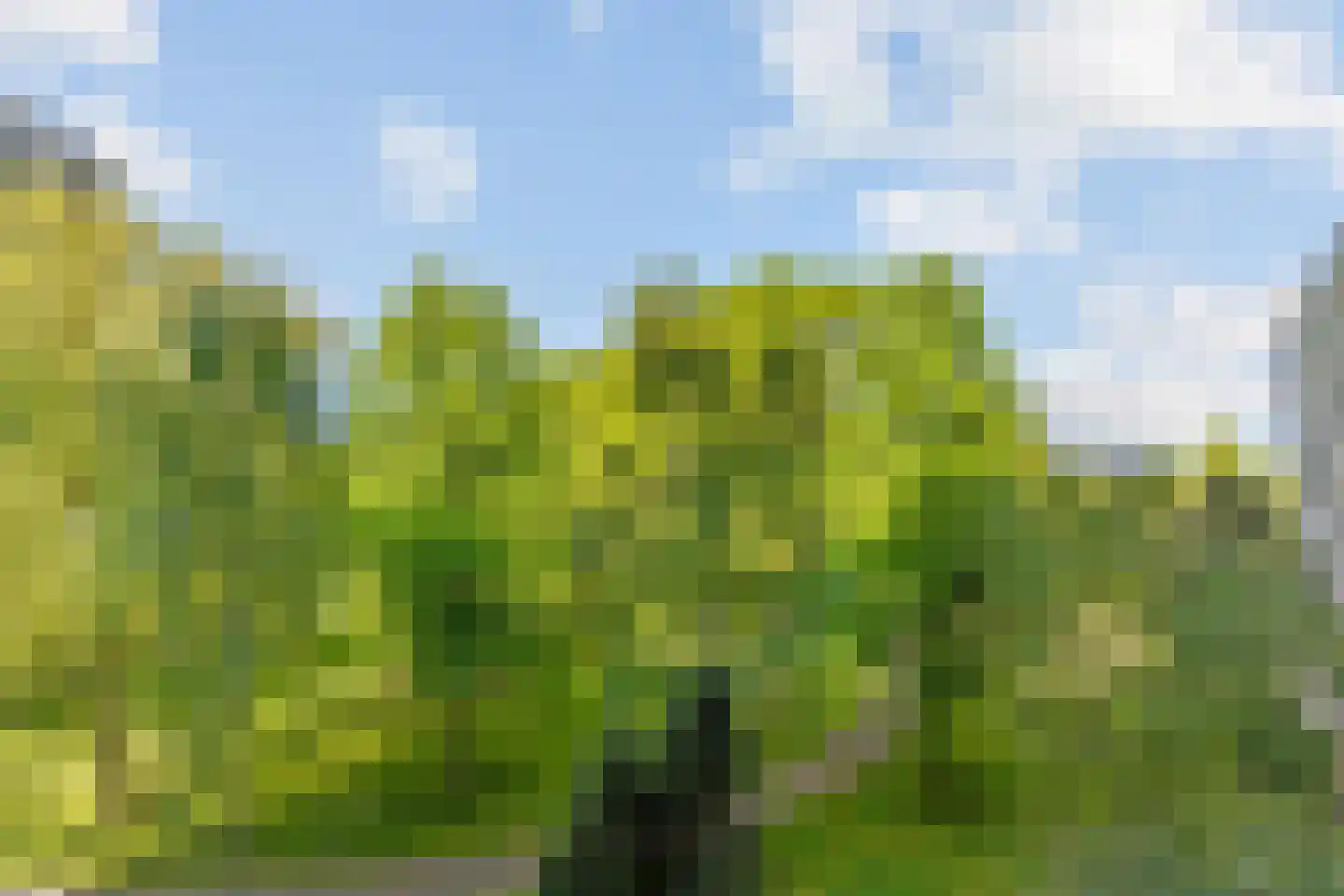 Chopinplein 93 Schiedam thumbnail 4