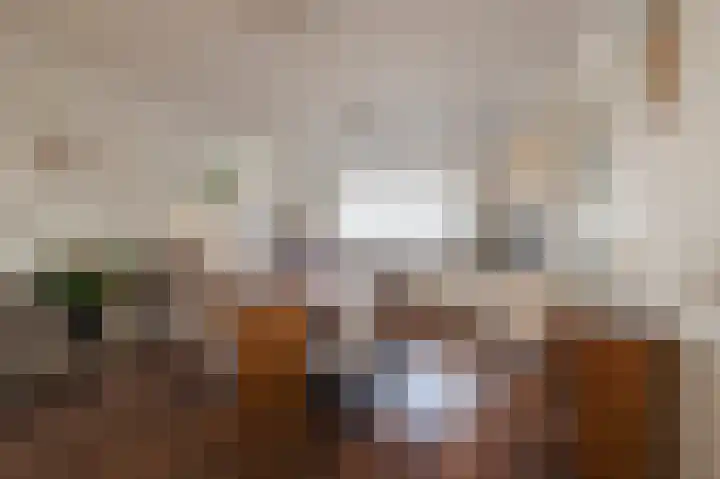 Chopinplein 95 Culemborg thumbnail 6