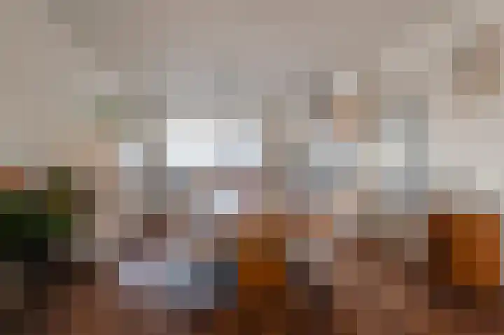 Chopinplein 95 Culemborg thumbnail 8