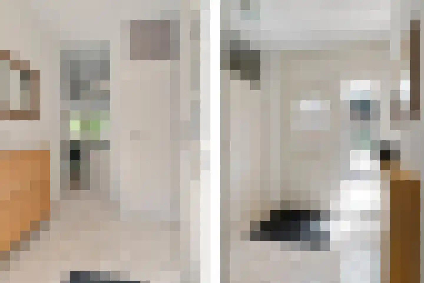 Chopinrode 11 Zoetermeer thumbnail 15