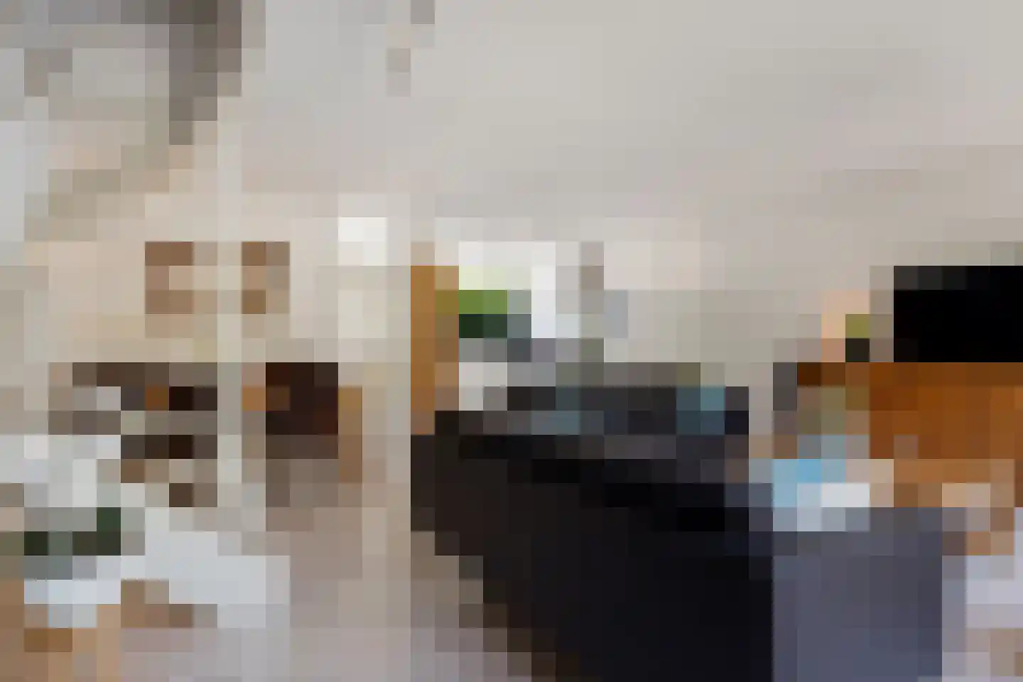 Chopinrode 11 Zoetermeer thumbnail 22