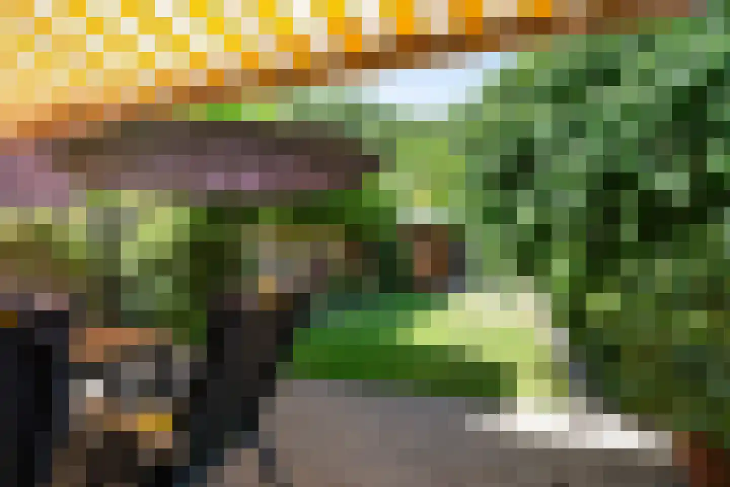 Chopinrode 11 Zoetermeer thumbnail 32