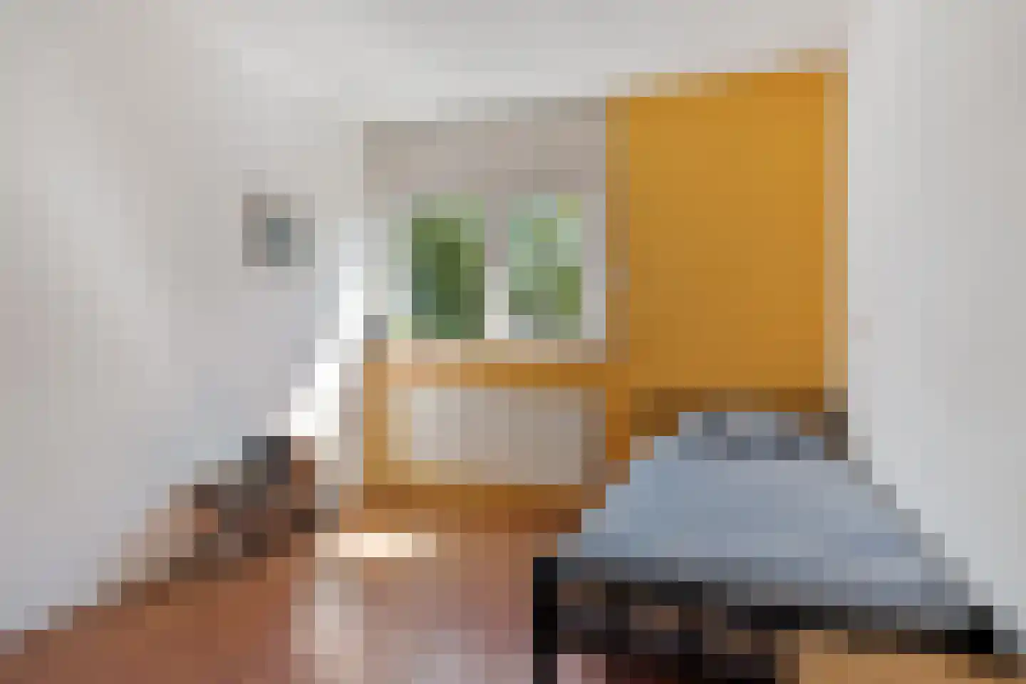 Chopinrode 11 Zoetermeer thumbnail 48