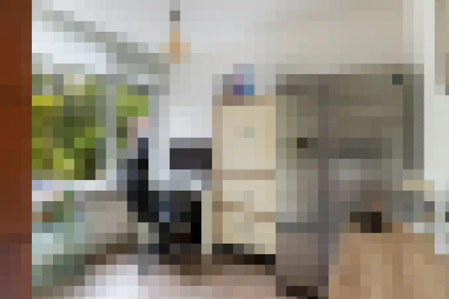Chopinrode 23 Zoetermeer thumbnail 17