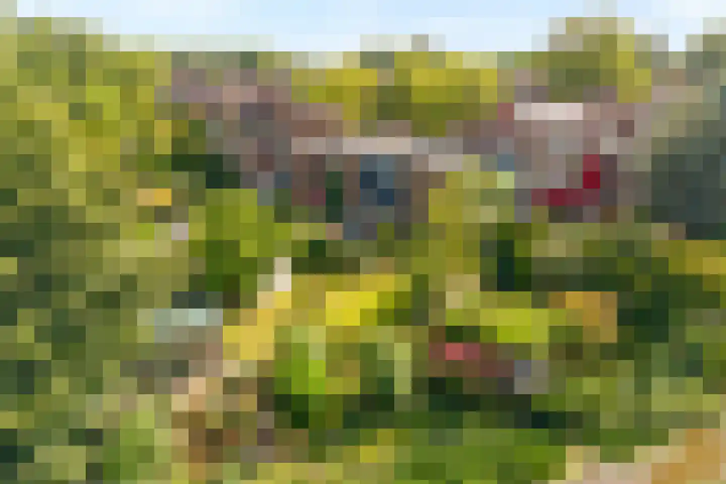 Chopinrode 23 Zoetermeer thumbnail 20