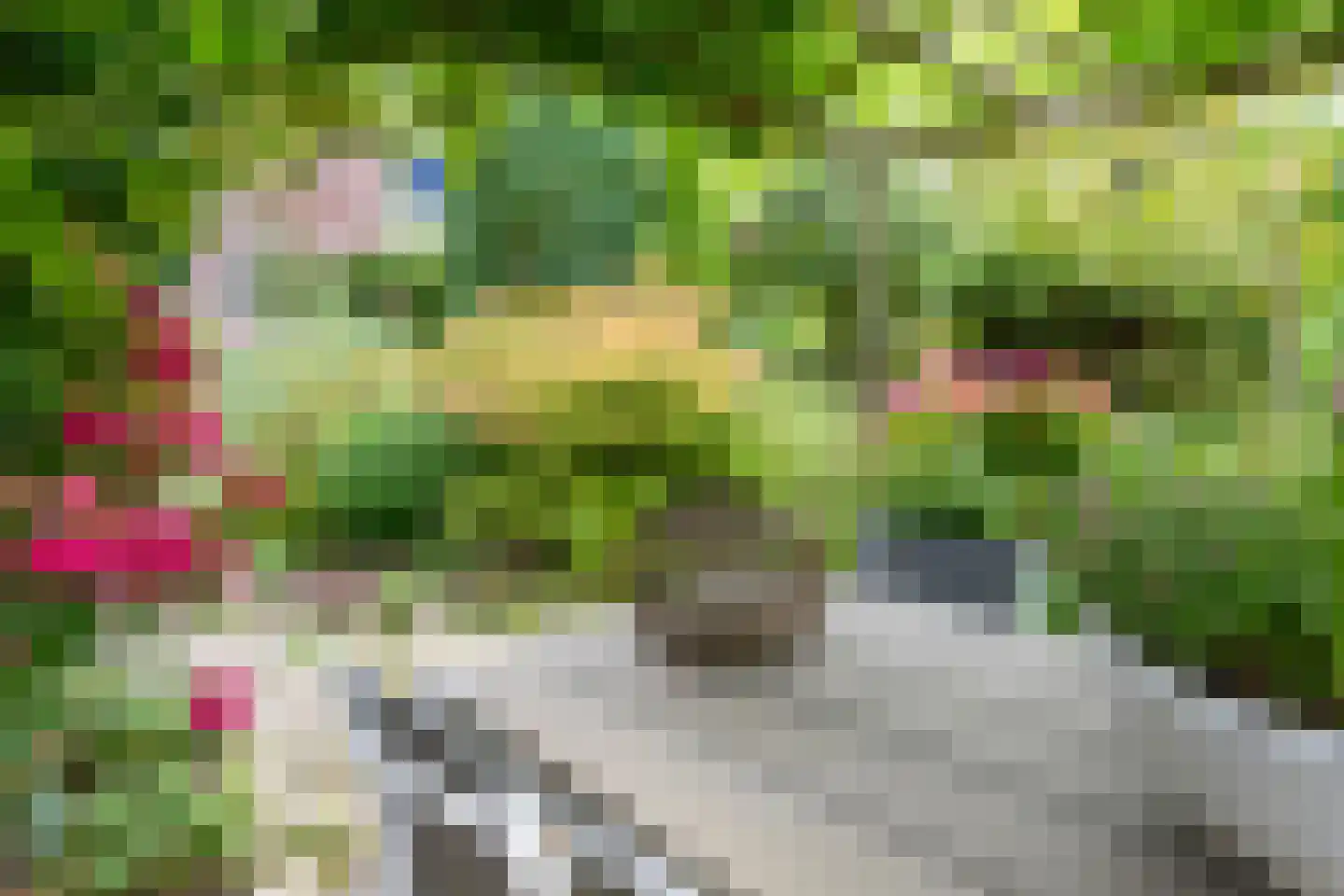 Chopinrode 23 Zoetermeer thumbnail 23