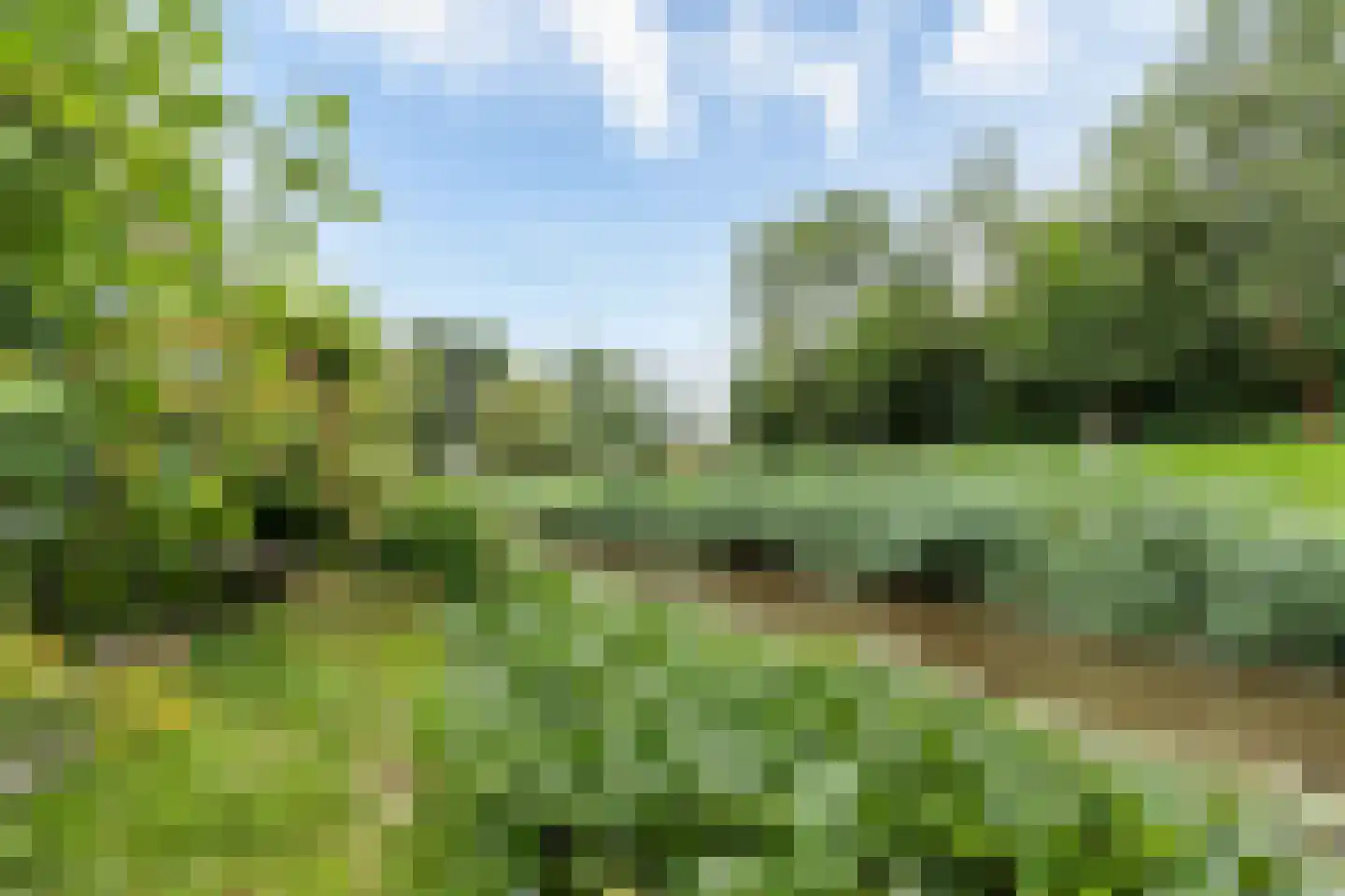 Chopinrode 23 Zoetermeer thumbnail 24