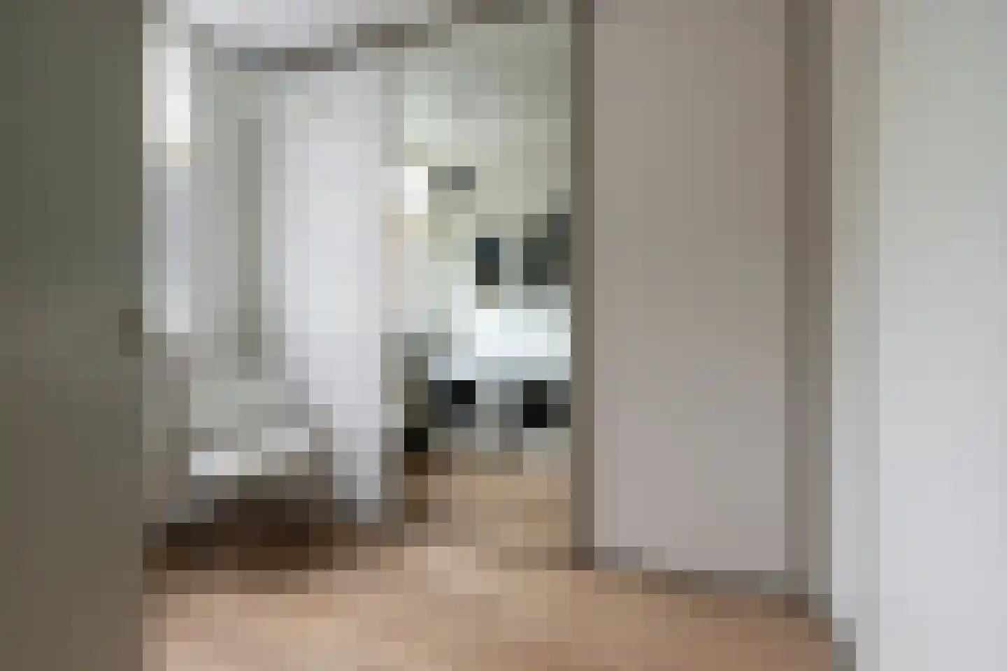 Chopinrode 23 Zoetermeer thumbnail 33