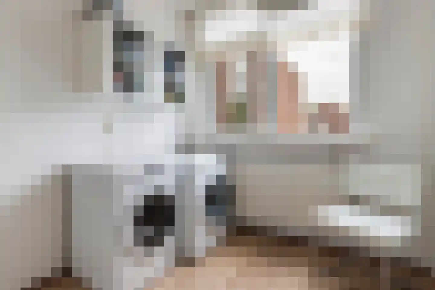 Chopinrode 23 Zoetermeer thumbnail 34